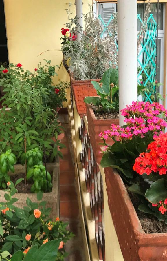 Casa Di Nonna Bed & Breakfast Vercelli Luaran gambar