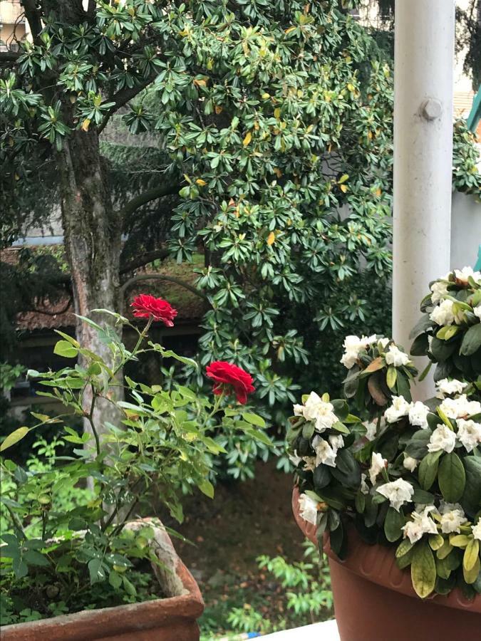 Casa Di Nonna Bed & Breakfast Vercelli Luaran gambar