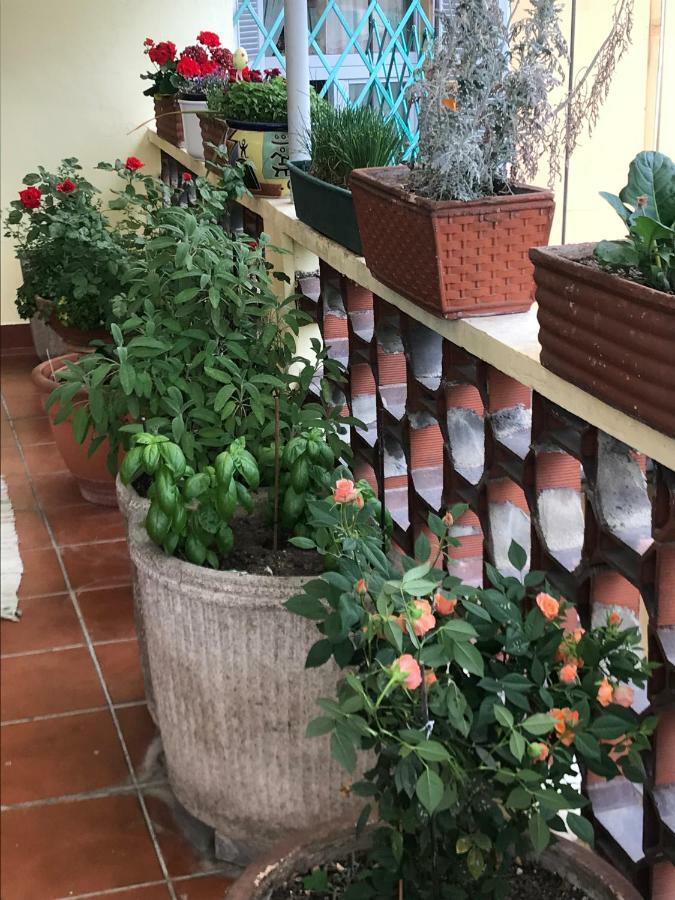 Casa Di Nonna Bed & Breakfast Vercelli Luaran gambar